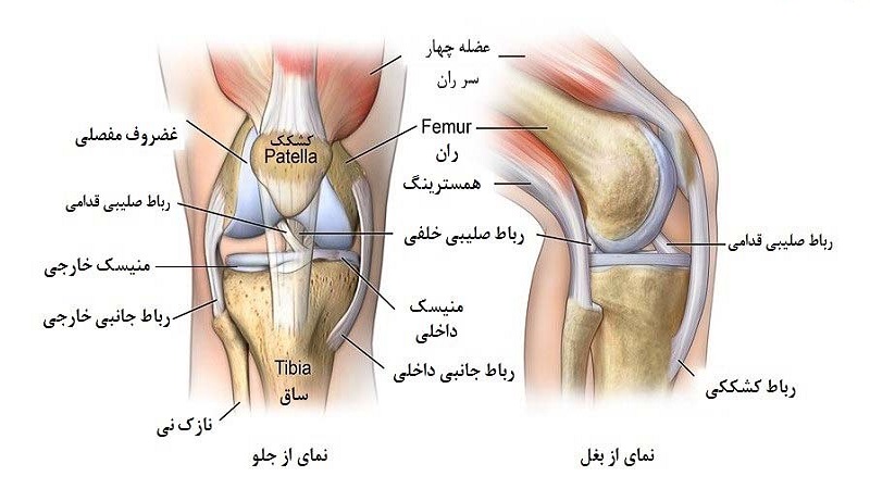 دکتر سینا طالبی فوق تخصص جراحی زانو اصفهان ، تعویض مفصل زانو اصفهان ، جراح رباط صلیبی و منیسک زانو، جراح زانوی پرانتزی و ضربدری در اصفهان